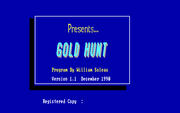Gold Hunt