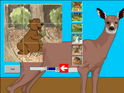 Goldie: Avonturen in het toverbos