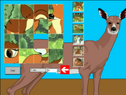 Goldie: Avonturen in het toverbos