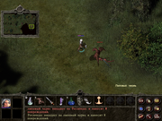 Gorasul: The Legacy of the Dragon