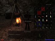 Gothic II