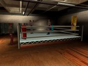 Grand Theft Auto: San Andreas