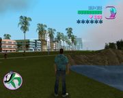 Grand Theft Auto: Vice City