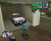 Grand Theft Auto: Vice City