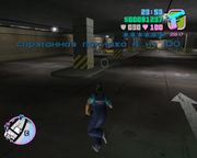 Grand Theft Auto: Vice City