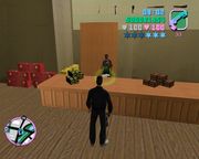 Grand Theft Auto: Vice City