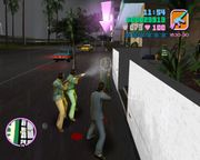 Grand Theft Auto: Vice City