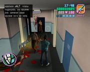 Grand Theft Auto: Vice City