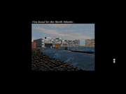 Grey Wolf: Hunter of the North Atlantic