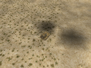 Gulf War: Operation Desert Hammer