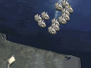 Hanse: Die Expedition