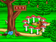 День Рождения