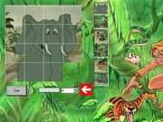 De heer van de jungle