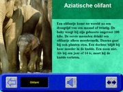 Hobie in de dierentuin