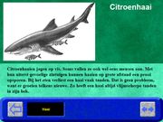 Hobie in de dierentuin