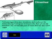 Hobie in de dierentuin