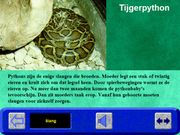 Hobie in de dierentuin