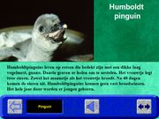 Hobie in de dierentuin