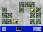 Hobie in de dierentuin