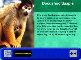 [Hobie in de dierentuin - скриншот №28]