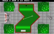Hole-in-One Miniature Golf