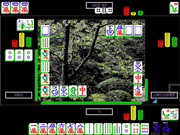 Hong Kong Mahjong Pro