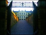 Hope Springs Eternal: A Carol Reed Mystery