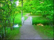 Hope Springs Eternal: A Carol Reed Mystery