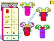 How Many Bugs in a Box?
