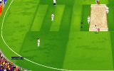 [Скриншот: Ian Botham's Cricket]