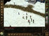 [Icewind Dale - скриншот №8]