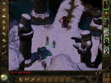 [Icewind Dale - скриншот №19]
