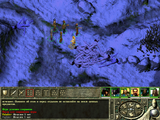 [Icewind Dale II - скриншот №33]