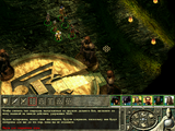 [Icewind Dale II - скриншот №43]