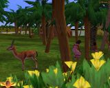 [Immortal Cities: Children of the Nile - скриншот №10]