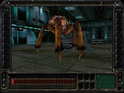 Incubation: Time Is Running Out