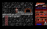 [Indiana Jones and the Temple of Doom - скриншот №9]