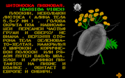 Insect Life: Муха 3