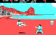 International Karate