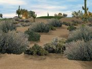 Jack Nicklaus 6: Golden Bear Challenge