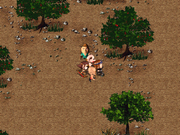 Je Cheon Dae Seong：BaeKkop Jap Neun Sa O Jeong