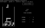 [Скриншот: Jeu de Tetris]