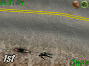 Jugular Street Luge Racing