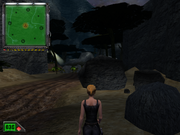 K. Hawk: Survival Instinct