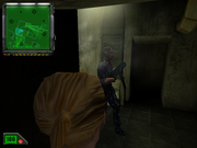 K. Hawk: Survival Instinct