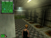 K. Hawk: Survival Instinct