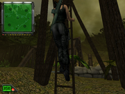 K. Hawk: Survival Instinct