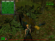 K. Hawk: Survival Instinct