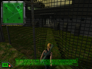 K. Hawk: Survival Instinct