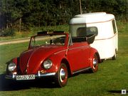 Der Käfer: Die Legende - Die Fans